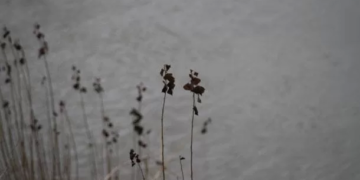 Pripadnik OS BiH spasio djevojku iz hladne Drine