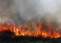 Francuska: 9 mrtvih u požaru u domu za osobe sa invaliditetom