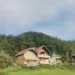 Bijelo Polje: Ubio brata tokom svađe zbog psa