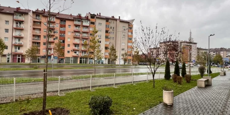 Za ljepšu Banjaluku: Stanari ZEV Jug Bogdana 17 poklonili gradu stabla platana