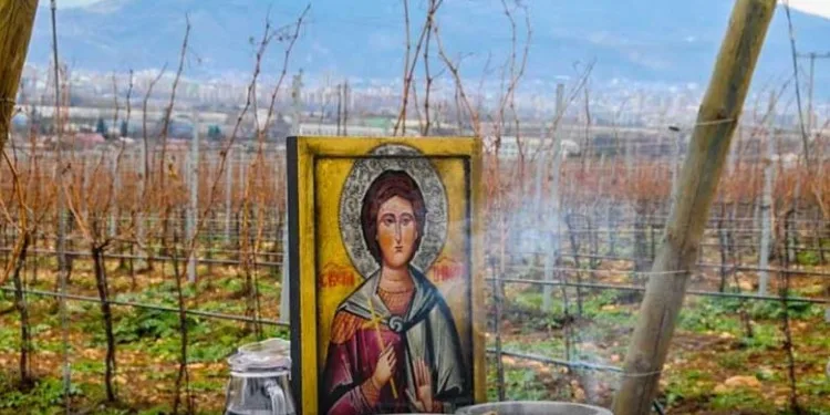 Zaštitnik zanata i hrišćanske ljubavi: Danas je Sveti Trifun