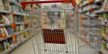 Četvrtina plate samo da ne umreš: Koliko se hrane može kupiti za minimalac u BiH i u svijetu