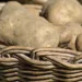 Najskuplji krompir na svijetu košta 500 evra po kilogramu 