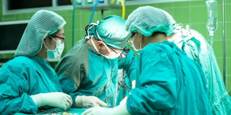 Aorta dobila status organa u ljudskom tijelu