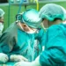 Aorta dobila status organa u ljudskom tijelu