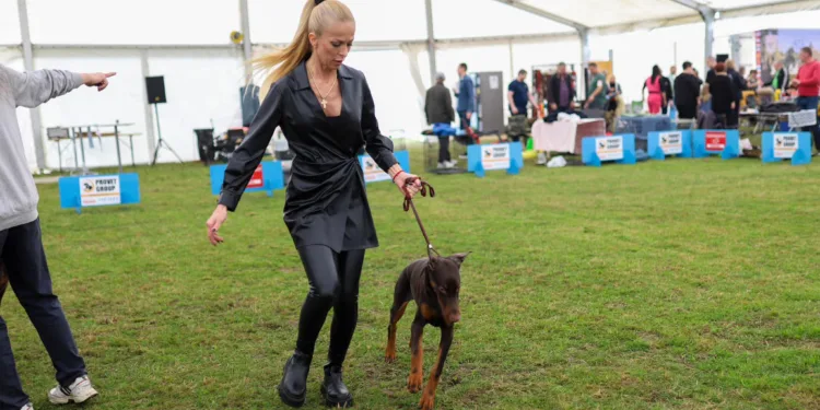Održan 2. doberman kup, sav prihod za Udruženje “Iskra”