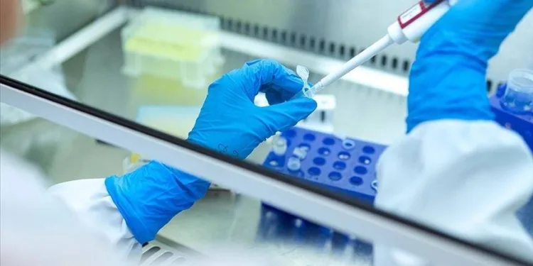Značajno otkriće: Istraživači na putu da nađu univerzalni lijek za sve vrste raka