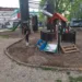 “Čisto lice grada” u Novoj varoši i Rosuljama: Centralna akcija uređenja u petak