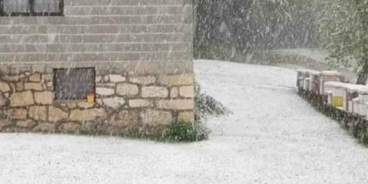 Aprilski snijeg u Kozarskoj Dubici, Kostajnici, Novom Gradu, Prijedoru…