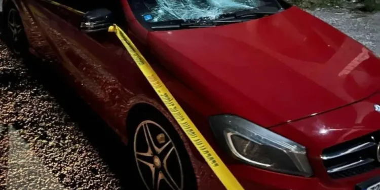 Detalji napada u Stocu: Golfom ih stjerali s ceste, okružili ih sa još dva vozila i tukli bejzbol palicama