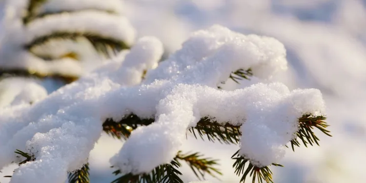 Vremenska prognoza za naredna tri dana