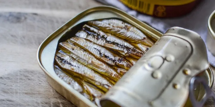 Sardina najzdravija za mozak