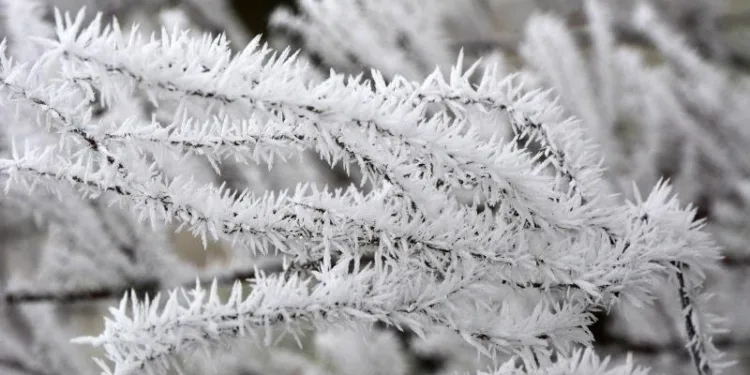 Vremenska prognoza za nedjelju