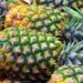 Ananas ima niz zdravstvenih koristi, posebno za žene