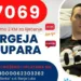 Za Sergeja sakupljena polovina novca, aktivan broj 17069