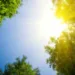 U subotu sunčano, temperatura do 32°C