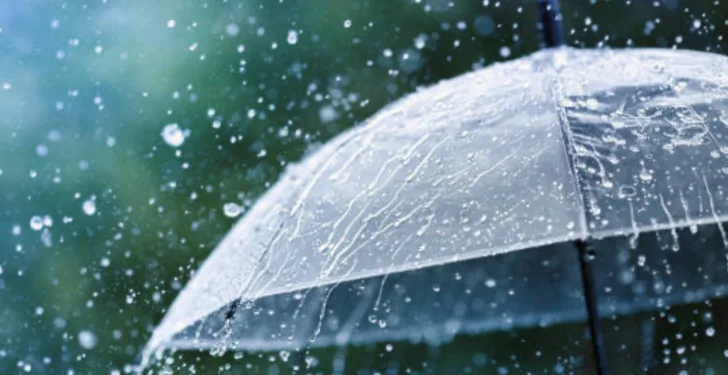 Meteorolog Đorđević: Nestabilno vrijeme u subotu uveče, narednih dana uslovi za lokalne nepogode