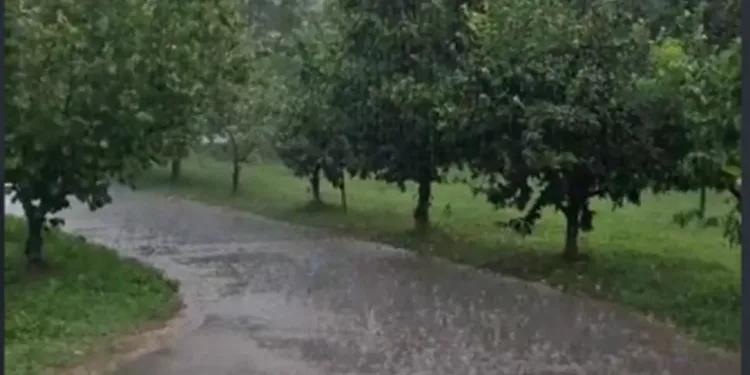 Potkozarje dočekalo kišu poslije dva mjeseca suše