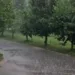Potkozarje dočekalo kišu poslije dva mjeseca suše