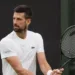 Sudar titana: Đoković protiv Sinera za finale Vimbldona