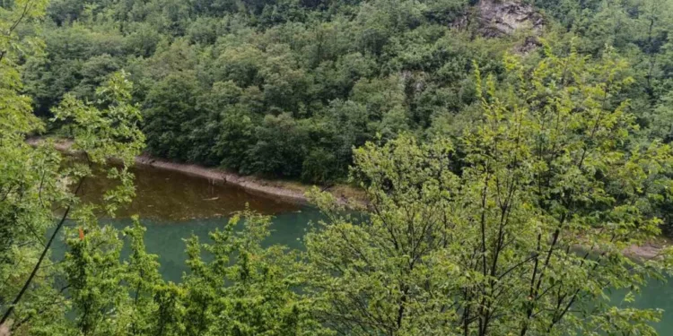Iz Vodovoda poručuju: “Procvjetao” Vrbas, nema razloga za zabrinutost