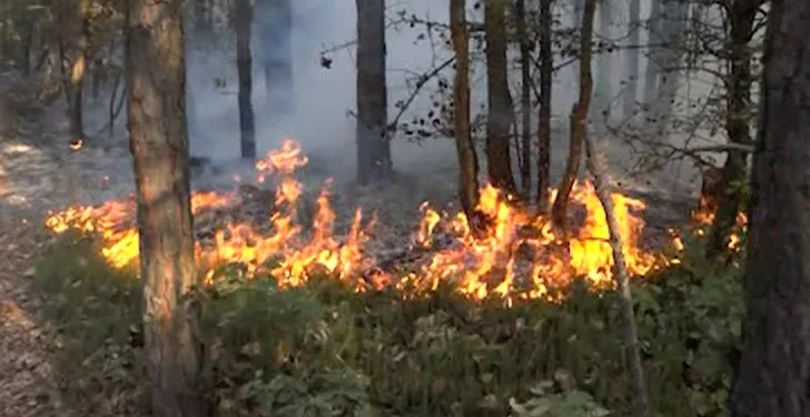 Pod kontrolom požar koji se iz Maglaja širi prema Doboju