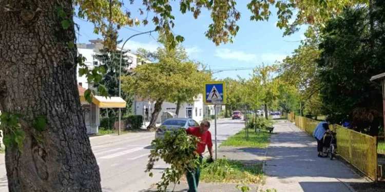 Pripreme za početak nove školske godine: Akcija uređenja prostora oko škola radi povećanja bezbjednosti djece