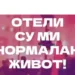 SNS najavljuje kontramitinge širom Srbije (VIDEO)