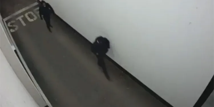 Borenović objavio novi snimak napada