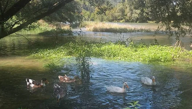 U ponedjeljak počinje jesen: Vrijeme vrlo toplo, uveče jače naoblačenje sa sjeverozapada