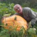 Na imanju Mila Višnjića bundeve i do 70 kilograma (FOTO)