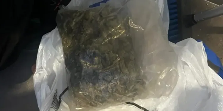 Nastavak akcije “Igman”: Uhapšena trojica u Banjaluci i Gradišci, pronađena droga