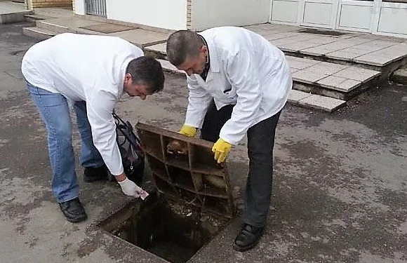 Od sutra jesenja deratizacija na teritoriji grada Banjaluke
