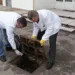 Od sutra jesenja deratizacija na teritoriji grada Banjaluke
