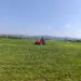 Nastavljene aktivnosti: Košenje, orezivanje i uklanjanje suvih stabala na području grada