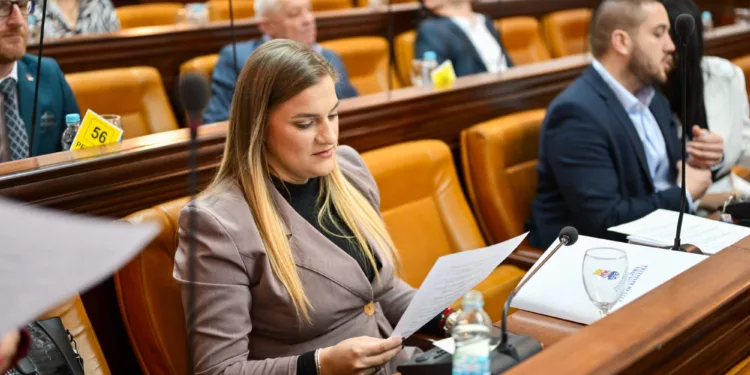 Palačković Đajiću: Draško gradi, a vi ostavljate prazna obećanja i nezavršenu garažu