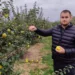 Od hobija do plantaže dunja u Donjem Žabaru