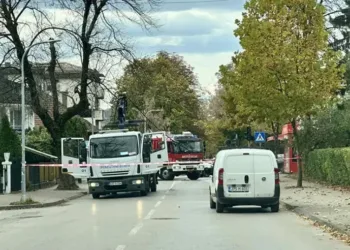 Vatrogasci i policija na terenu: Pauk srušio strujne kablove u Banjaluci