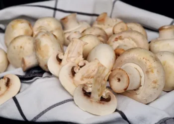 Gljive mogu da poboljšaju cjelokupno zdravlje: Evo na šta sve utiču