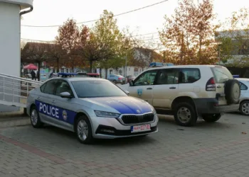 Dva brata ubijena u selu Golubovac, sumnja se da je pucao zet