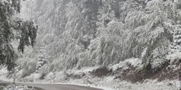 Sutra pretežno oblačno, poslije podne kiša i snijeg 