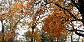 Narandžasto upozorenje zbog obilne kiše i vjetra