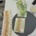 Razbijen lanac prostitucije u Doboju, otkrivene Kineskinje