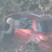 Automobilom sletio u Vrbas