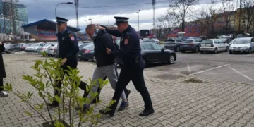 Arseniću određen jednomjesečni pritvor