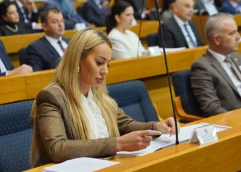 Šljivić nakon imenovanja u RUGIP: Trpim velike pritiske zbog izgleda