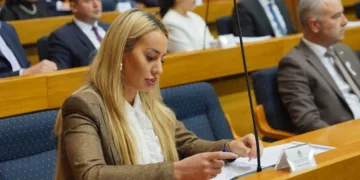 Šljivić nakon imenovanja u RUGIP: Trpim velike pritiske zbog izgleda