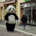 Panda šeta ulicama Banjaluke