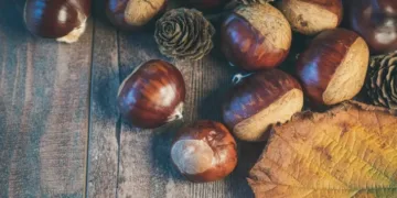 Ostavljaju ga na više mjesta u kući: Evo šta sve tjera miris kestena