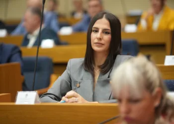 Vukomanović: Kako se zove osoba koja nema nijednu funkciju, a sve ih obavlja?